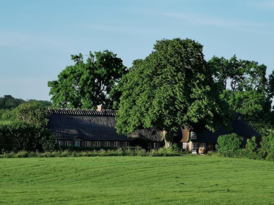 MittelangelnHof Osterfeldアパートメント エクステリア 写真